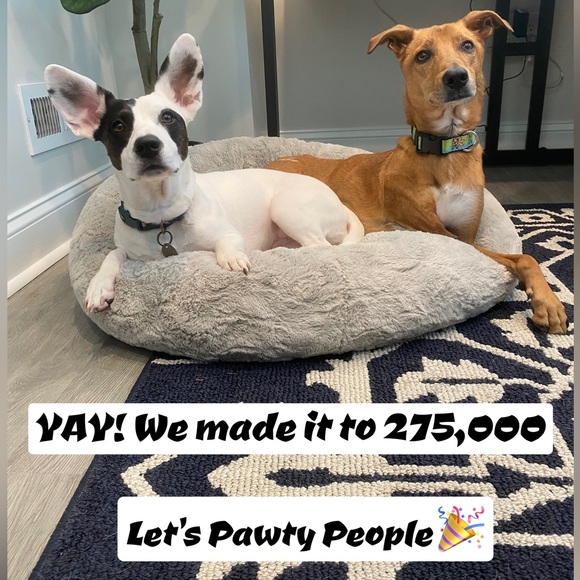 FOLLOW US TO 400K  🌟🌟🌟 THANK YOU ❤️✨❤️✨❤️ PLEASE TAG & SHARE ❤️❤️❤️ - Picture 2 of 16